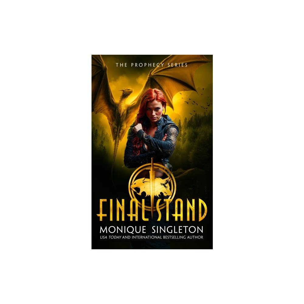 Vinci Books Final Stand (häftad, eng)
