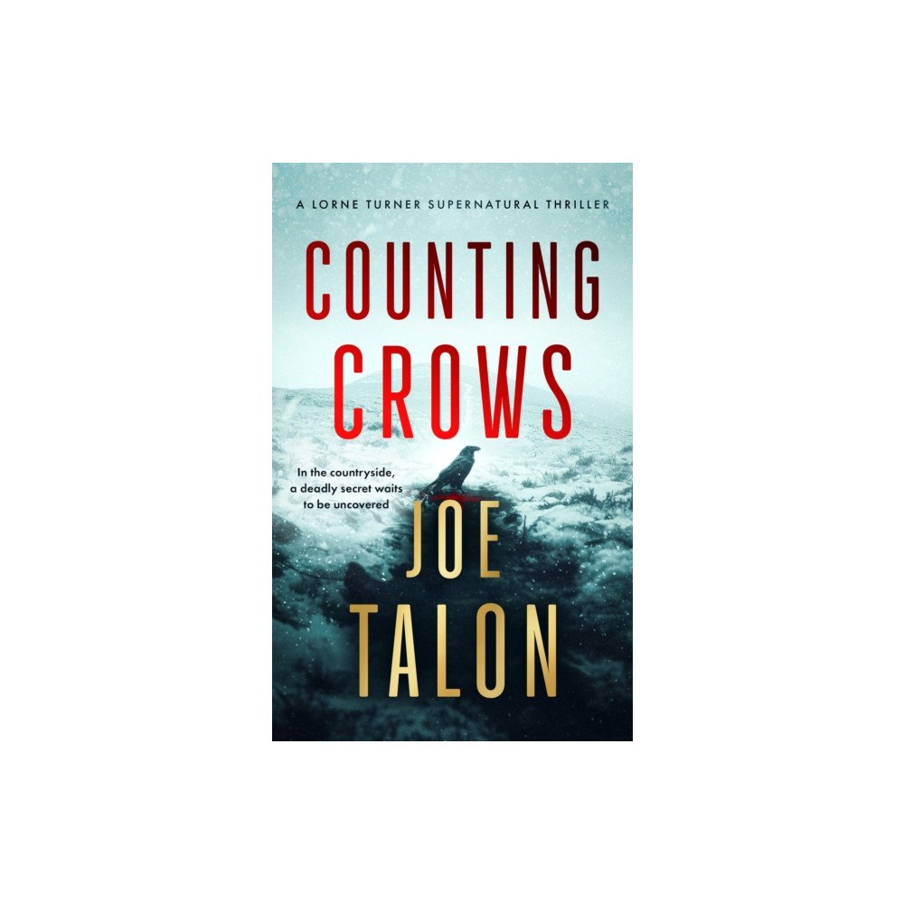 Vinci Books Counting Crows (häftad, eng)