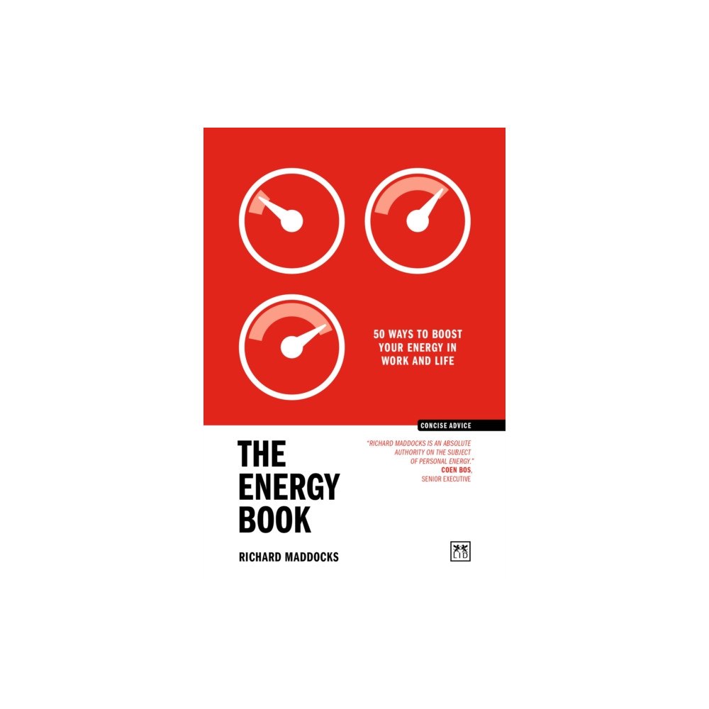 LID Publishing The Energy Book (häftad, eng)