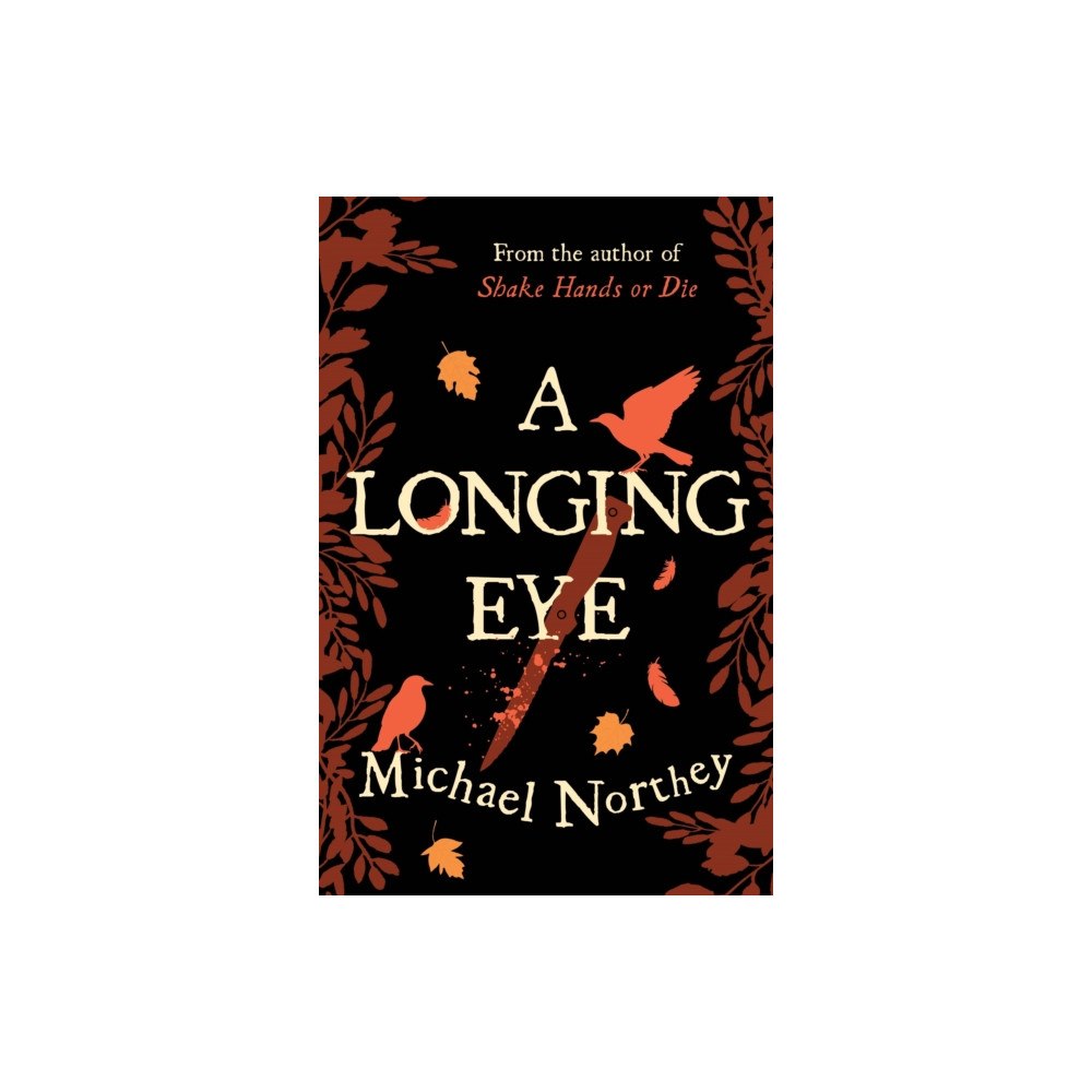 Troubador Publishing A Longing Eye (häftad, eng)