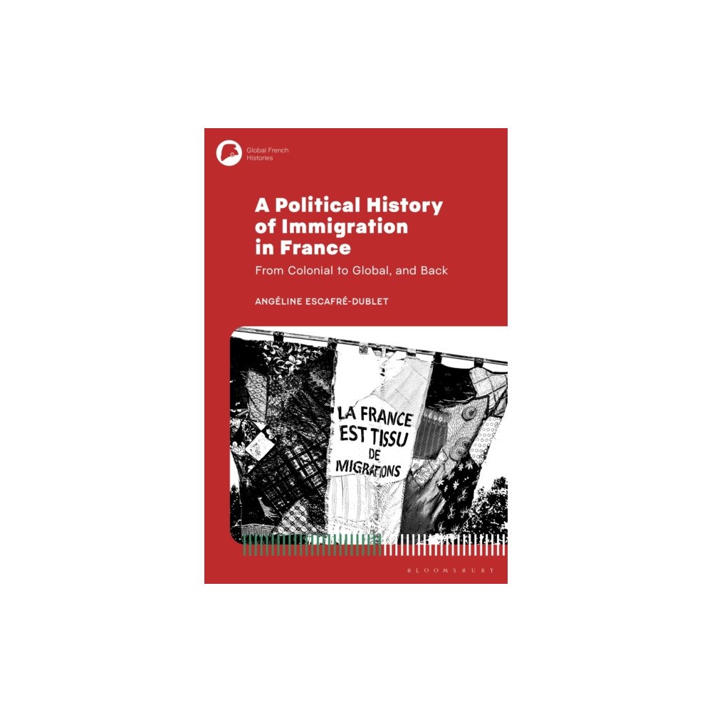 Bloomsbury Publishing PLC Political History of Immigration in France (häftad, eng)