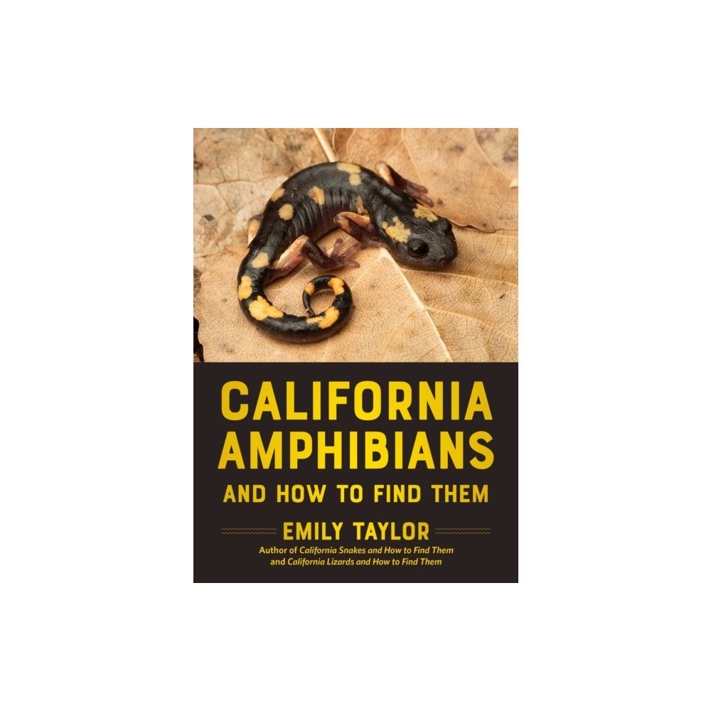 Heyday Books California Amphibians and How to Find Them (häftad, eng)