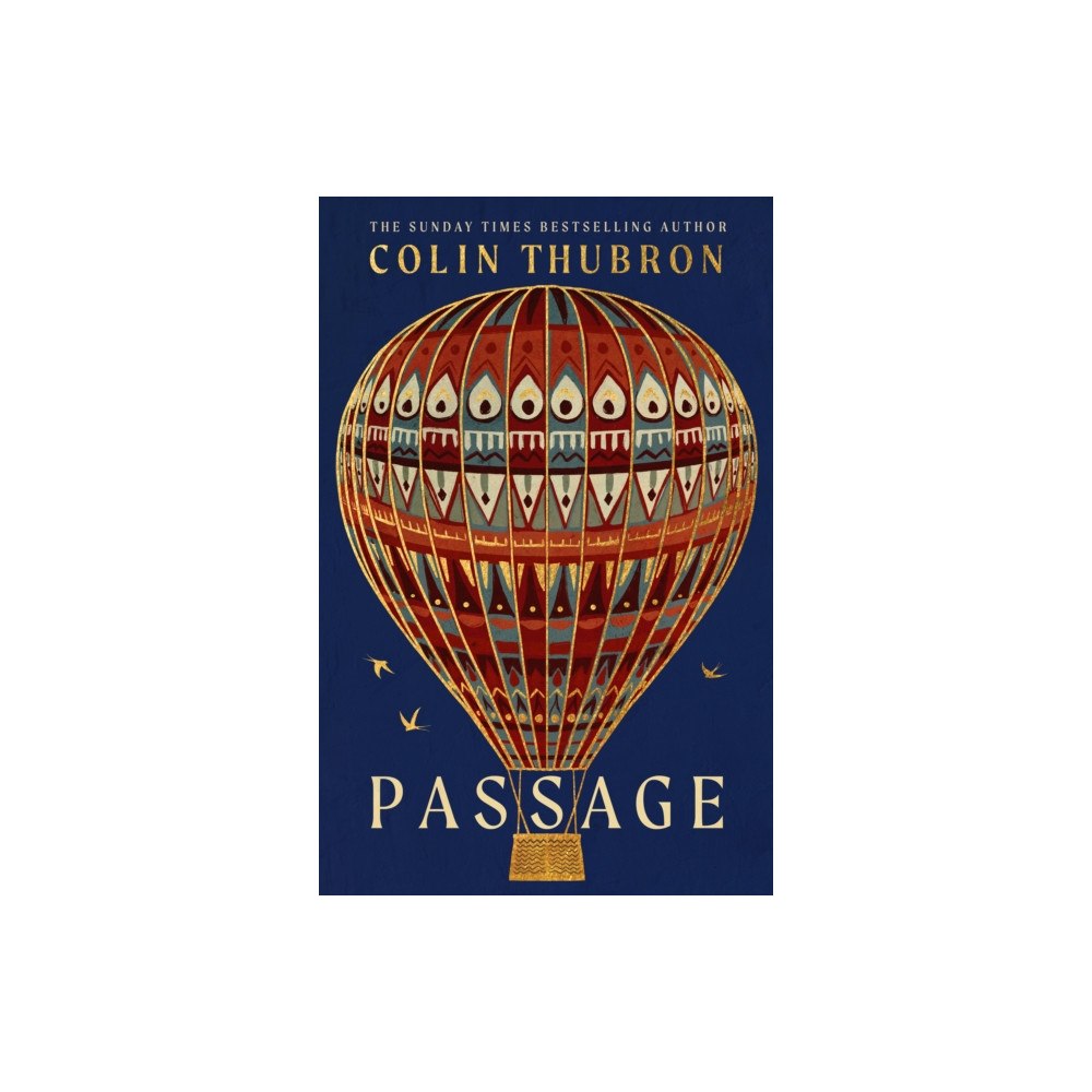 Vintage Publishing Passage (inbunden, eng)