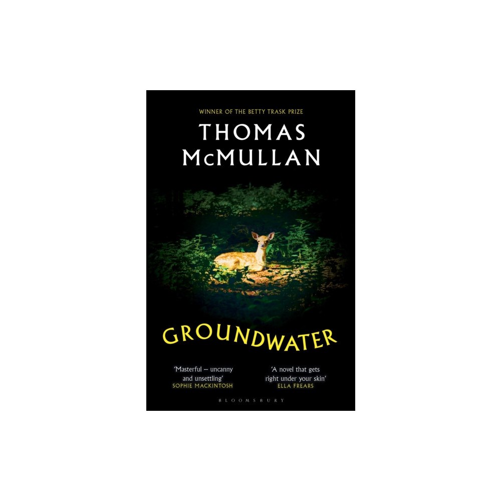 Bloomsbury Publishing PLC Groundwater (häftad, eng)