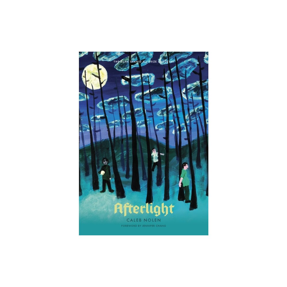 University of utah press,u.s. Afterlight (häftad, eng)