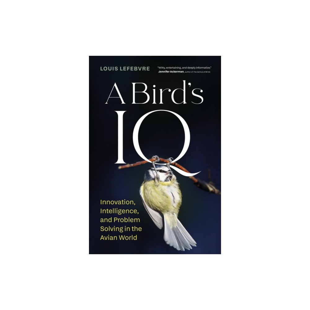Greystone Books,Canada A Bird’s IQ (inbunden, eng)