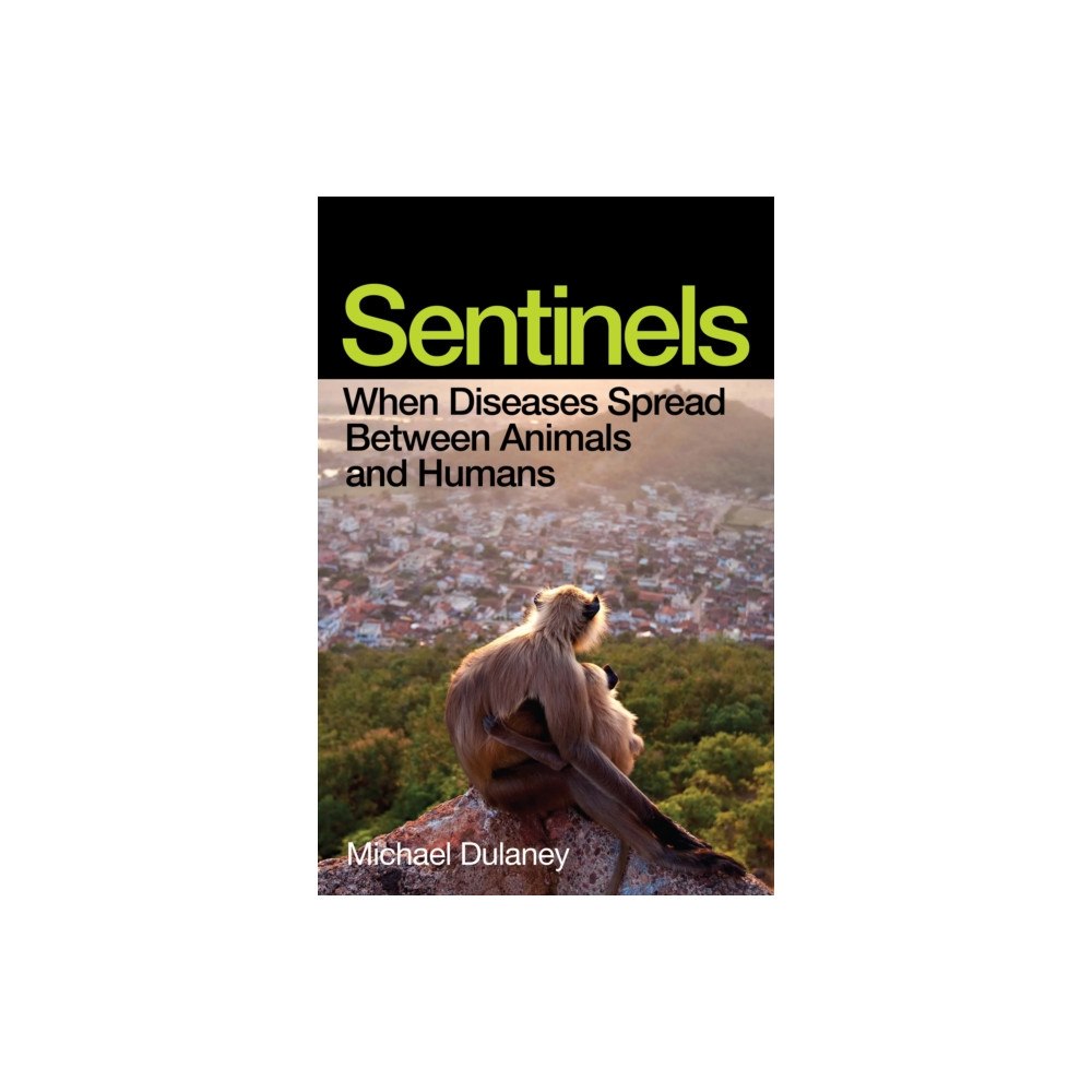 Scribe Publications Sentinels (häftad, eng)
