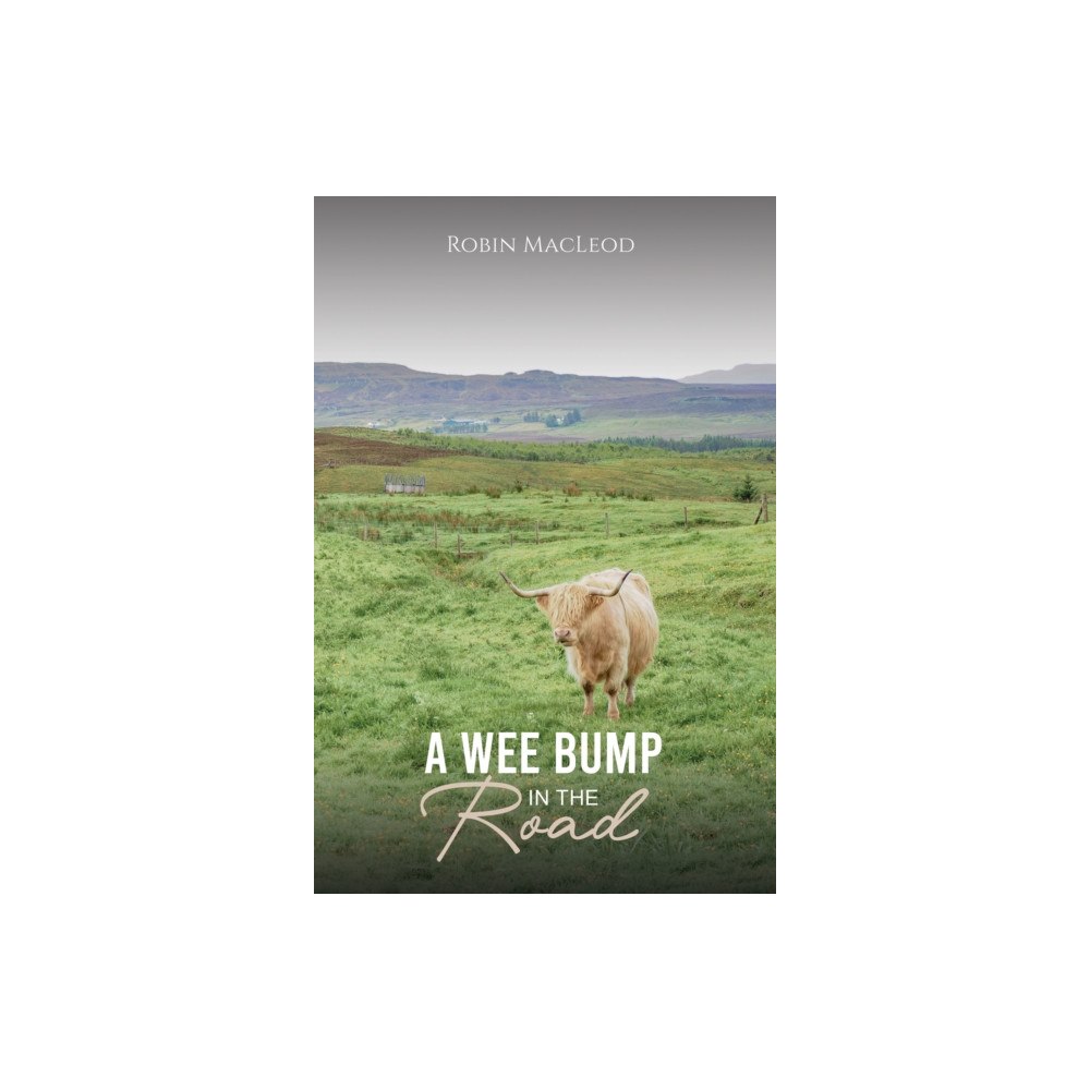 Austin Macauley Publishers A Wee Bump in the Road (häftad, eng)