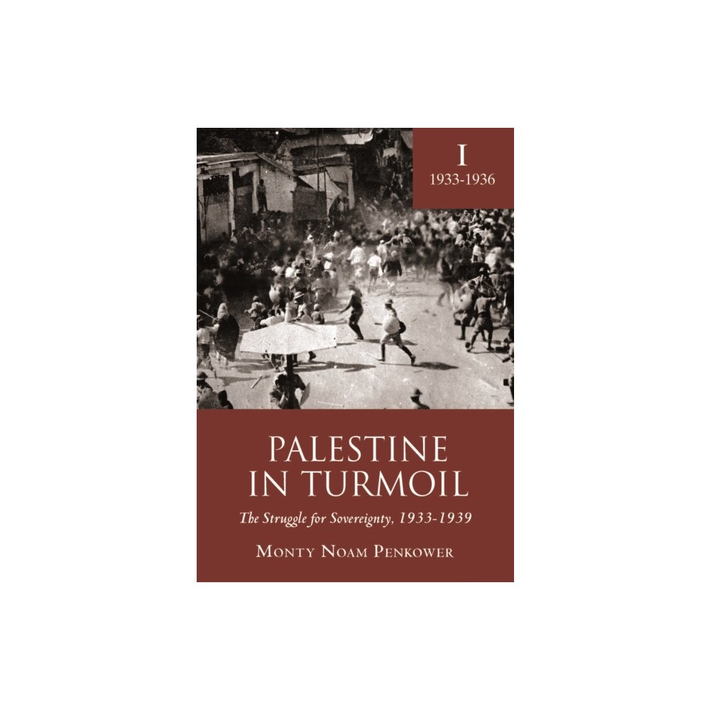 Academic Studies Press Palestine in Turmoil (häftad, eng)