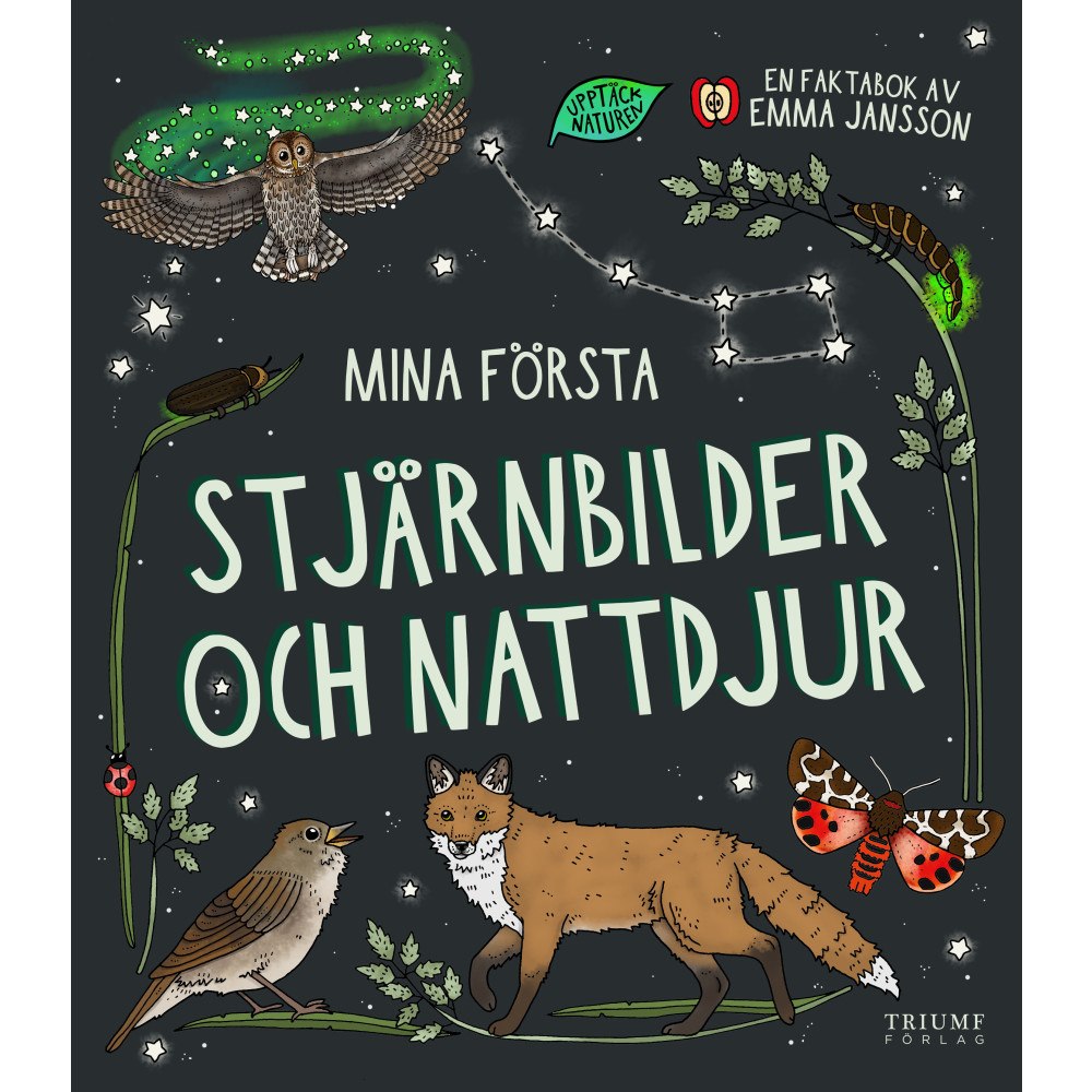 Emma Jansson Mina första stjärnbilder och nattdjur (inbunden)
