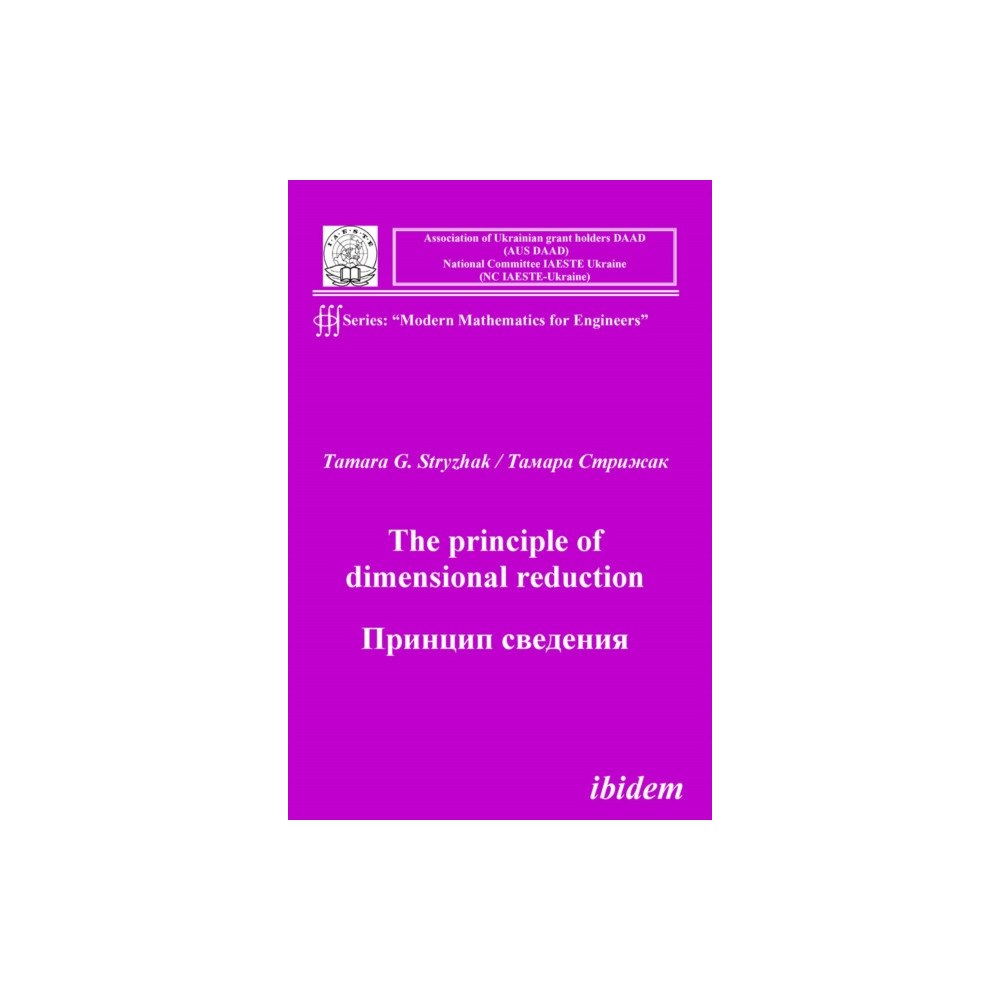 ibidem-Verlag, Jessica Haunschild u Christian Scho The principle of dimensional reduction (häftad, eng)