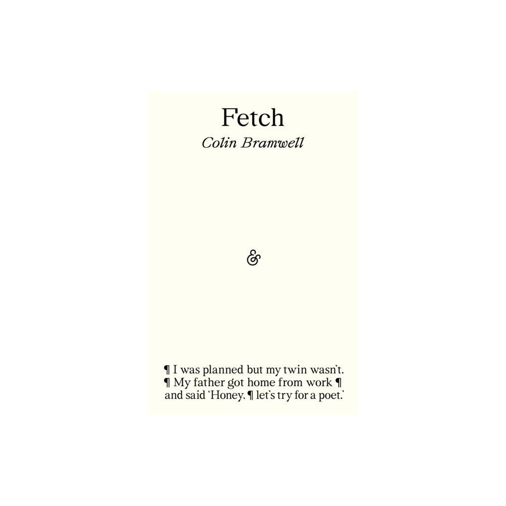 And Other Stories Fetch (häftad, eng)