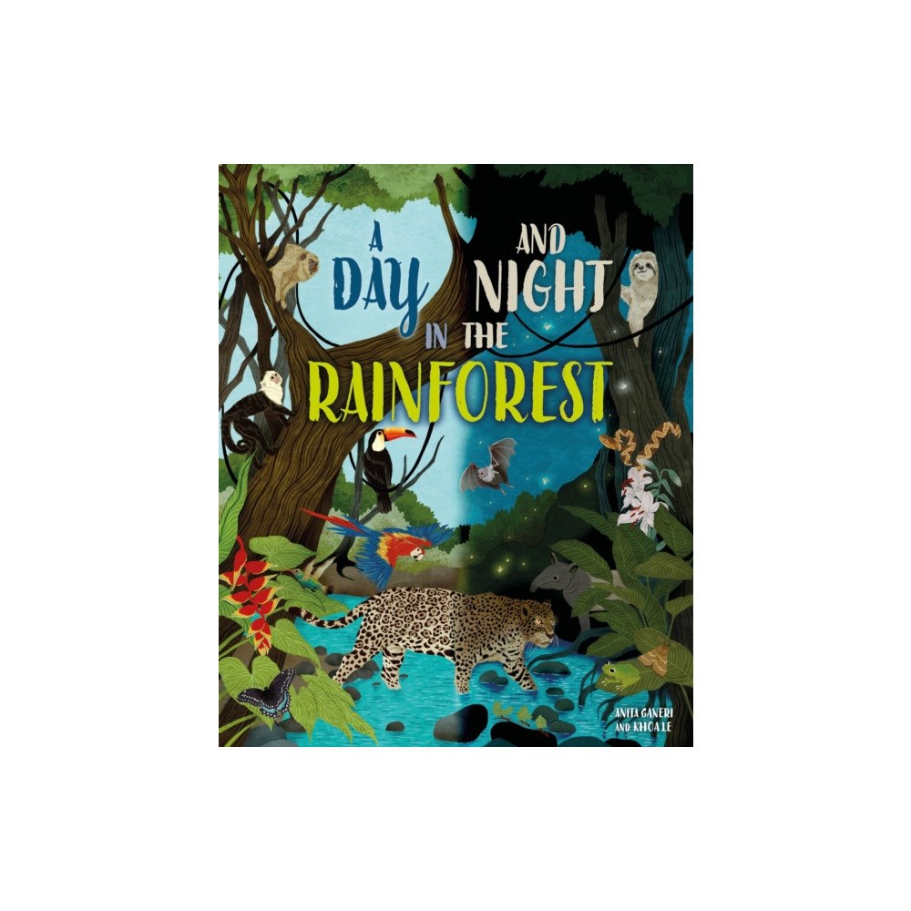 Hachette Children's Group A Day and Night: In a Rainforest (inbunden, eng)