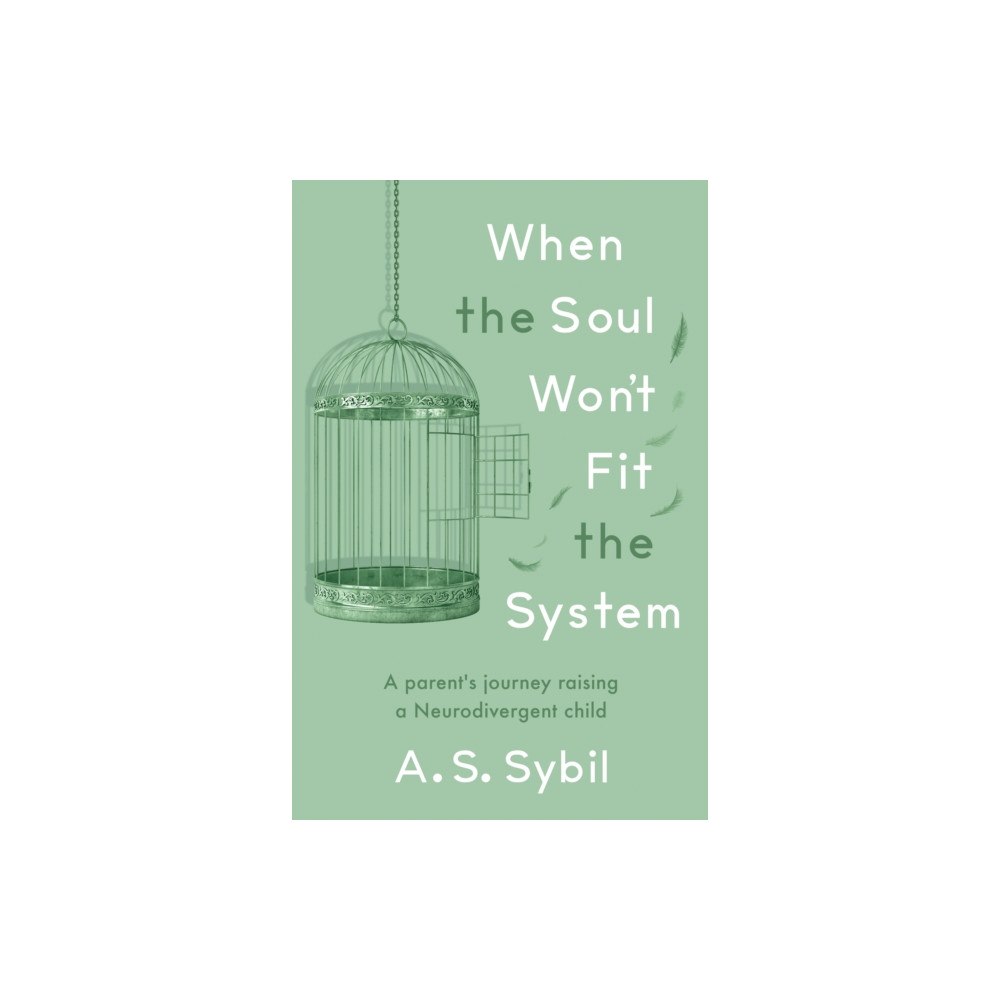 Troubador Publishing When the Soul Won’t Fit the System (häftad, eng)