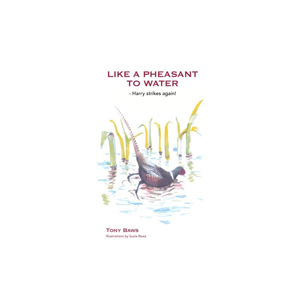 Ashgrove Publishing Ltd Like a Pheasant to Water (häftad, eng)