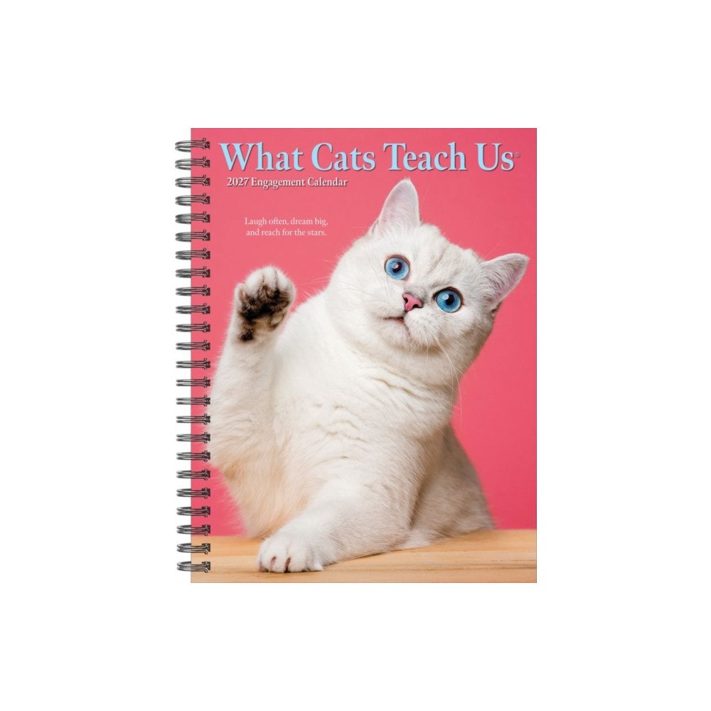 Willow Creek Press What Cats Teach Us 2027 Engagement (häftad, eng)