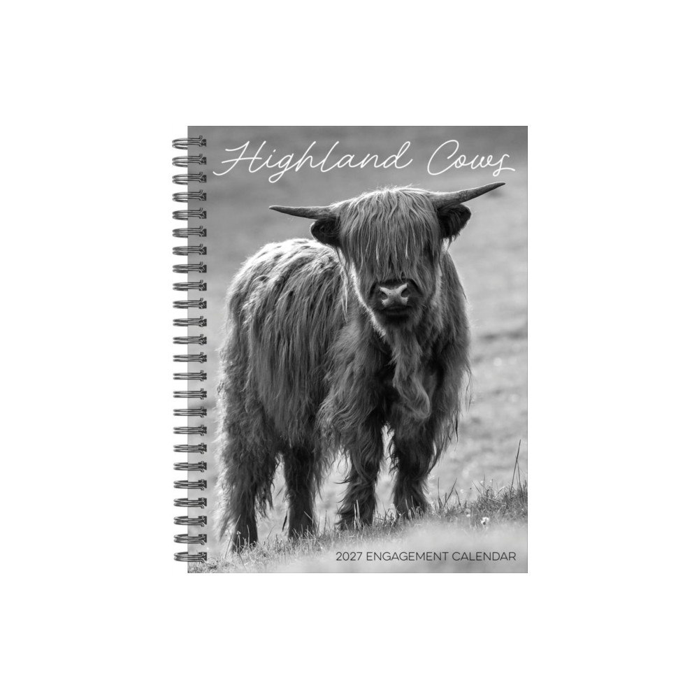 Willow Creek Press Highland Cows 2027 Engagement (häftad, eng)