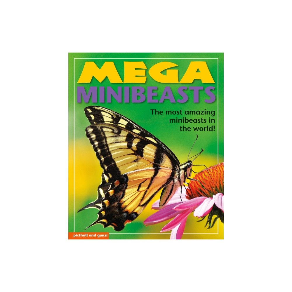 Picthall and Gunzi (an imprint of Award Publicatio Mega Minibeasts (häftad, eng)