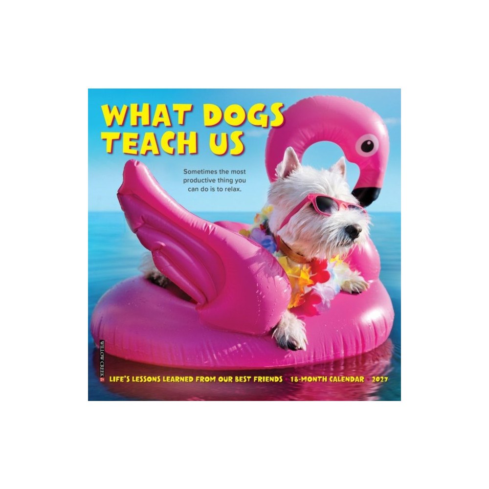 Willow Creek Press What Dogs Teach Us 2027 Mini (häftad, eng)