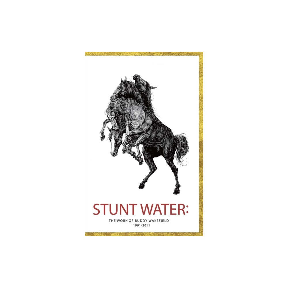 Button Poetry Stunt Water (häftad, eng)
