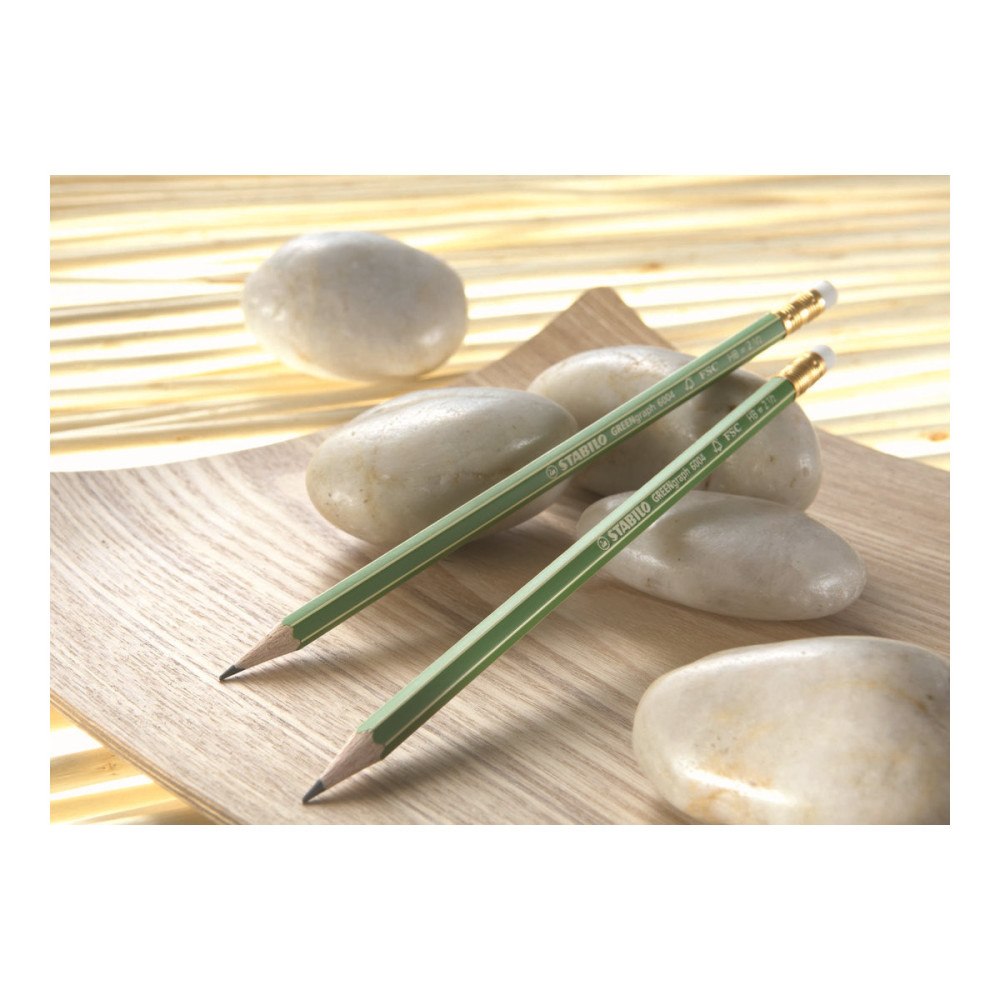 STABILO STABILO GREENgraph 6004 - penna - HB