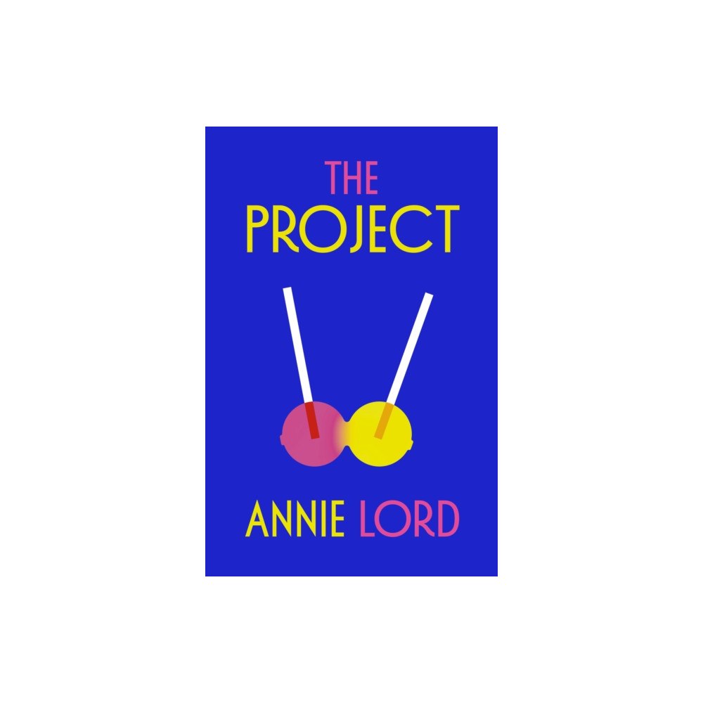 Vintage Publishing The Project (häftad, eng)