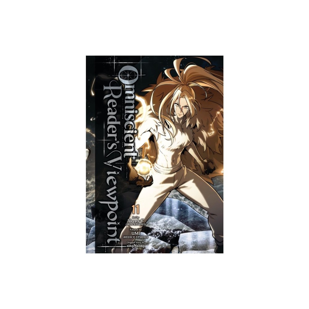 Little, Brown & Company Omniscient Reader's Viewpoint, Vol. 11 (häftad, eng)