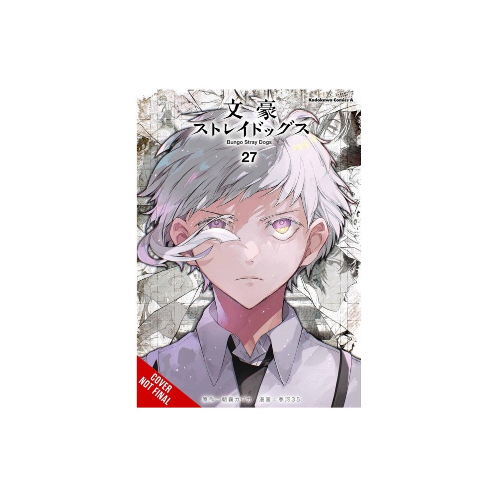 Little, Brown & Company Bungo Stray Dogs, Vol. 27 (häftad, eng)