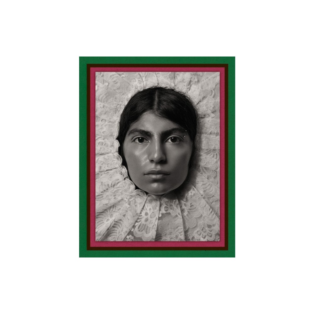 Damiani Pieter Henket: Birds of Mexico City (inbunden, eng)