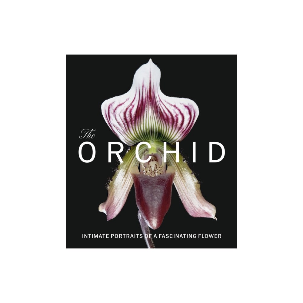 Scala Publishers Ltd The Orchid (inbunden, eng)