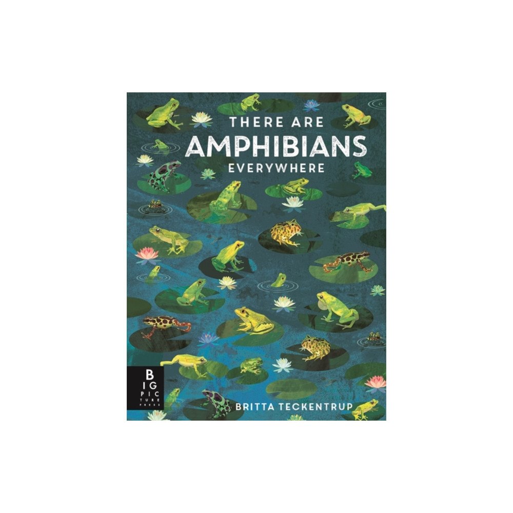 Bonnier Books Ltd There Are Amphibians Everywhere (häftad, eng)