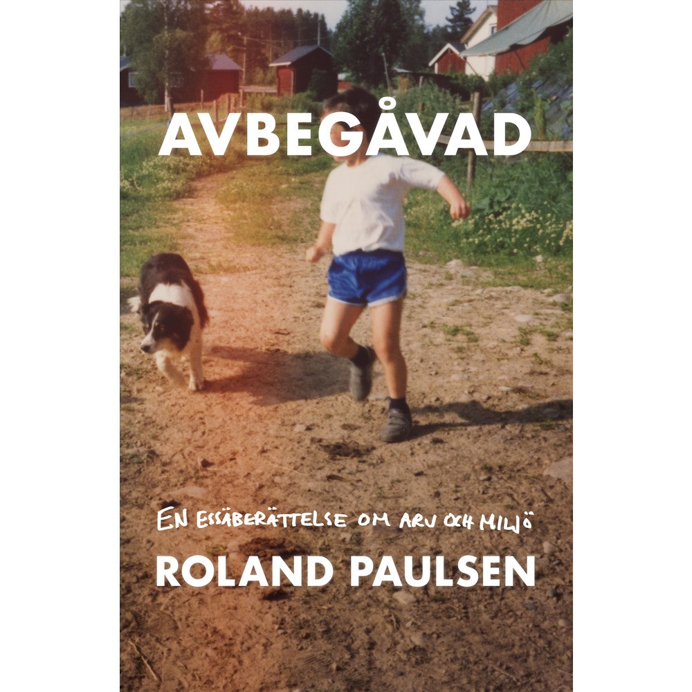 Roland Paulsen Avbegåvad : en essäberättelse om arv och miljö (inbunden)