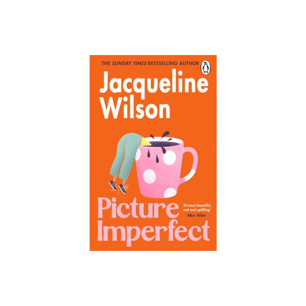 Transworld publishers ltd Picture Imperfect (häftad, eng)