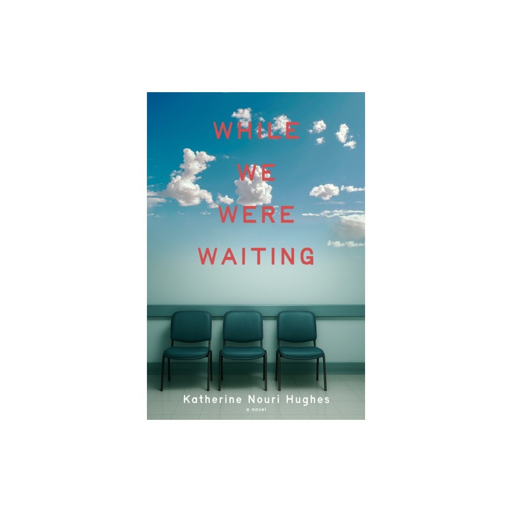 Delphinium Books, Inc While We Were Waiting (inbunden, eng)