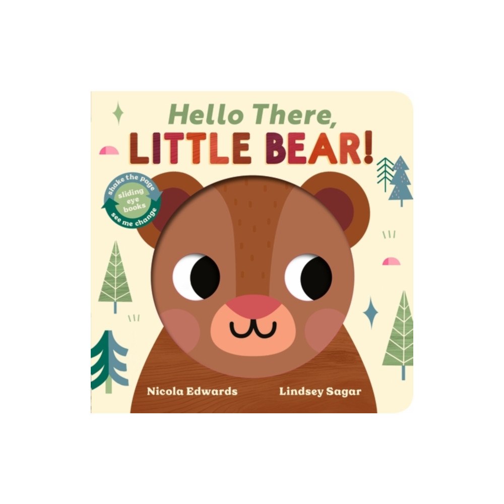 Little Tiger Press Group Hello There, Little Bear! (bok, board book, eng)