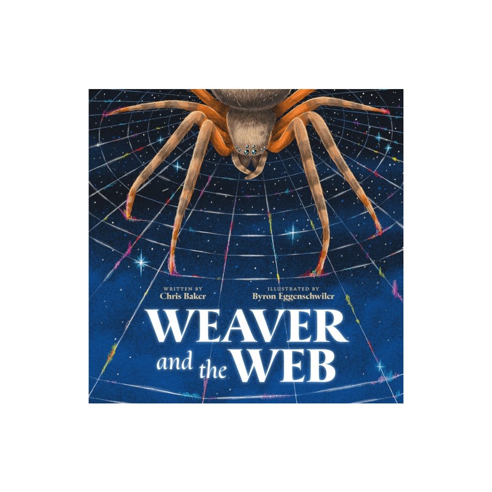 Castle Point Books Weaver and the Web (inbunden, eng)