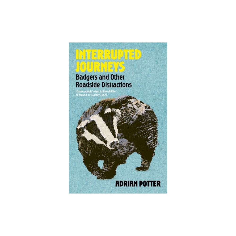 John Murray Press Interrupted Journeys (häftad, eng)