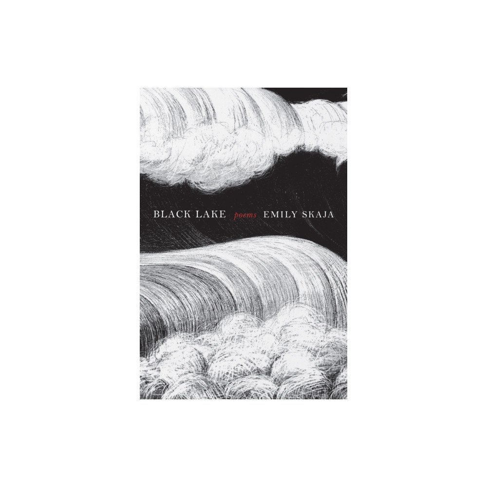 Graywolf Press Black Lake (häftad, eng)