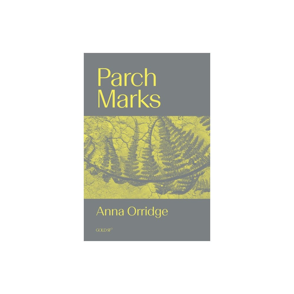 Goldsmith's Press Parch Marks (häftad, eng)