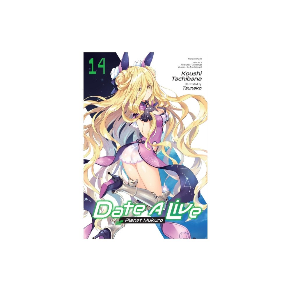 Little, Brown & Company Date A Live, Vol. 14 (light novel) (häftad, eng)