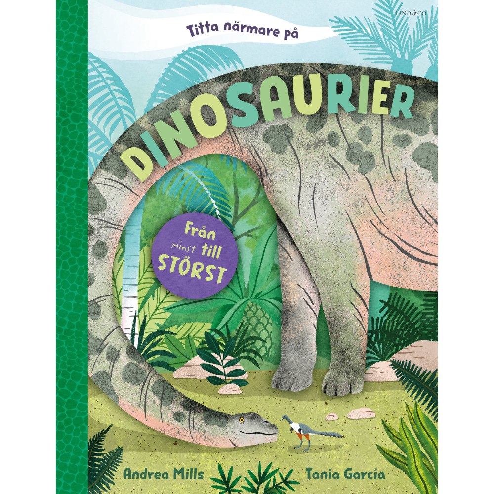 Andrea Mills Titta närmare på dinosaurier : från minst till störst (inbunden)