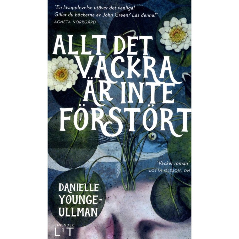 Danielle Younge-Ullman Allt det vackra är inte förstört (pocket)