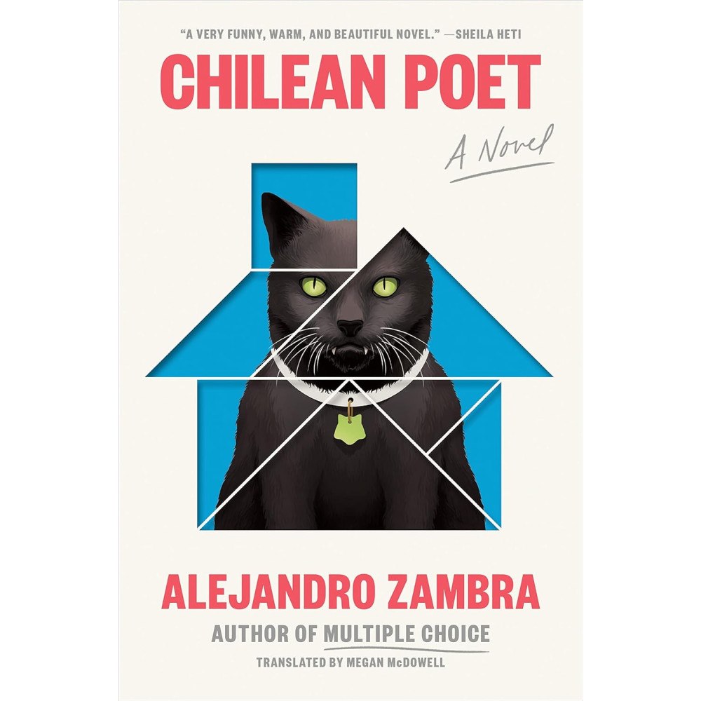 Alejandro Zambra; Translated by Megan McDowell Chilean Poet (häftad, eng)