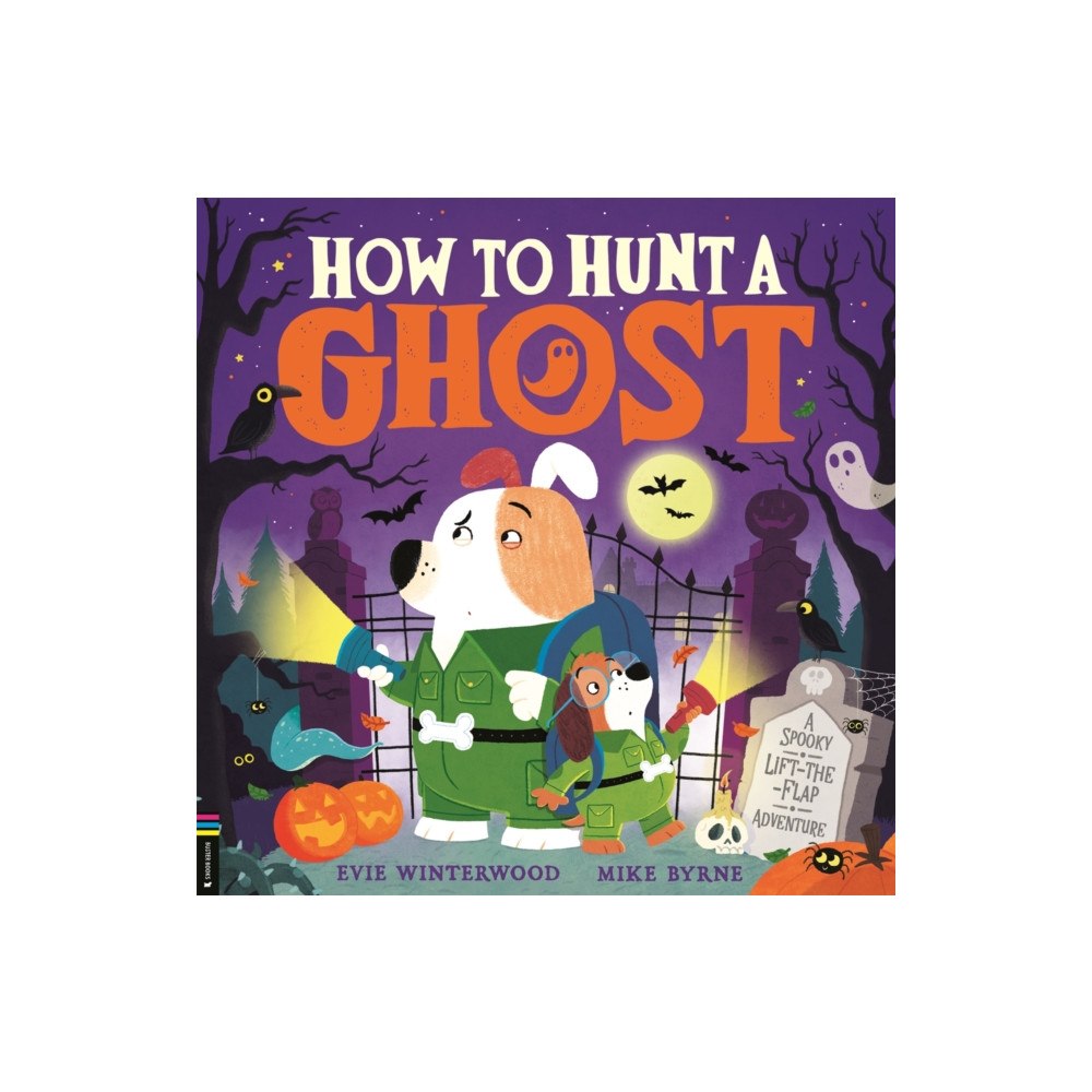 Michael O'Mara Books Ltd How to Hunt a Ghost (häftad, eng)