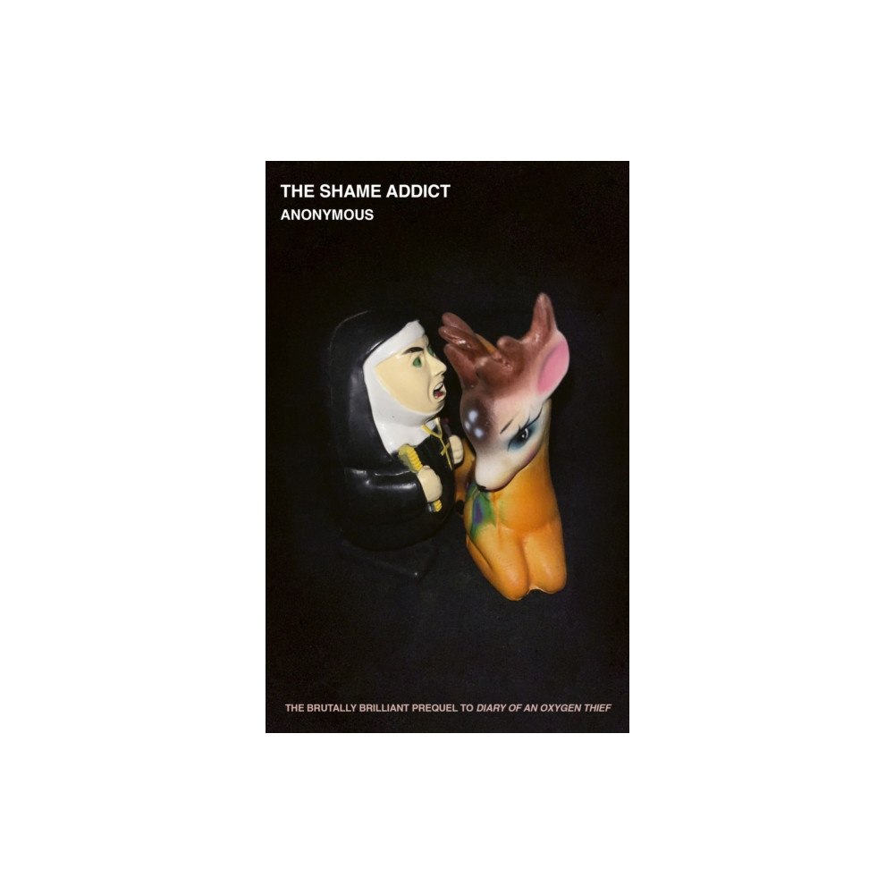 Little, Brown Book Group The Shame Addict (häftad, eng)