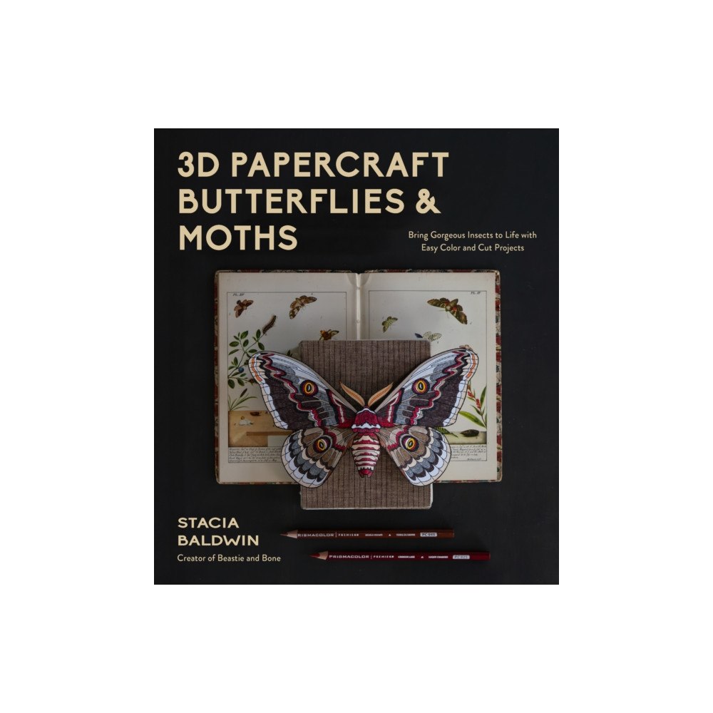 Page Street Publishing Co. 3D Papercraft Insects (häftad, eng)