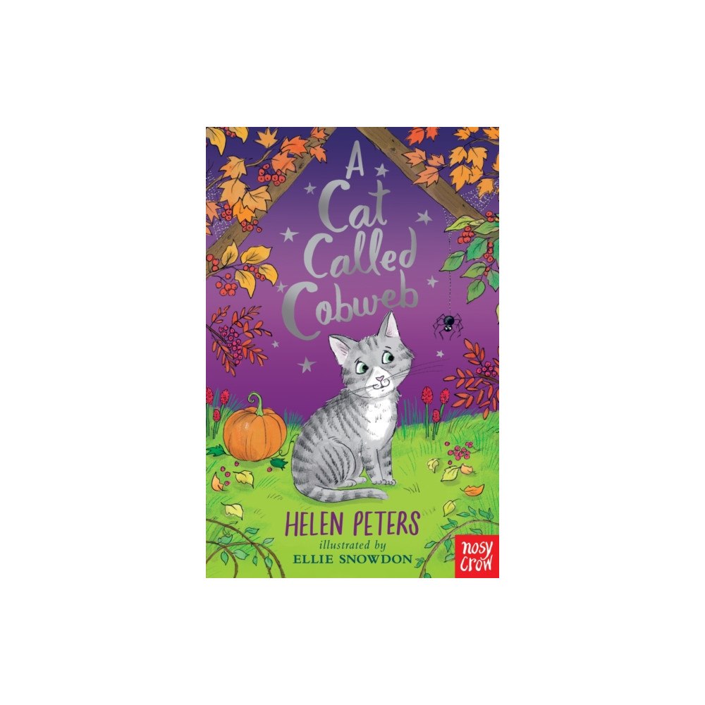 Nosy Crow Ltd A Cat Called Cobweb (häftad, eng)