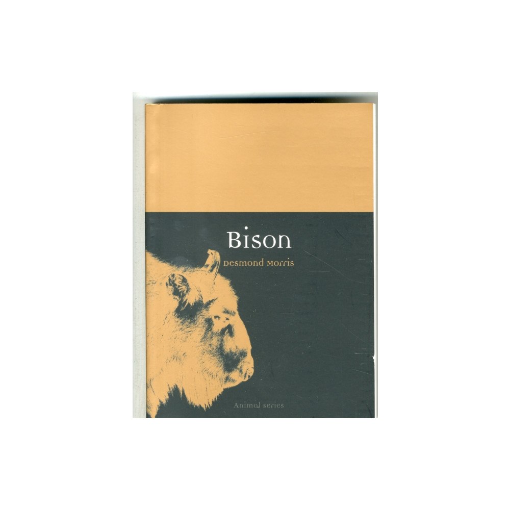 Reaktion Books Bison (häftad, eng)