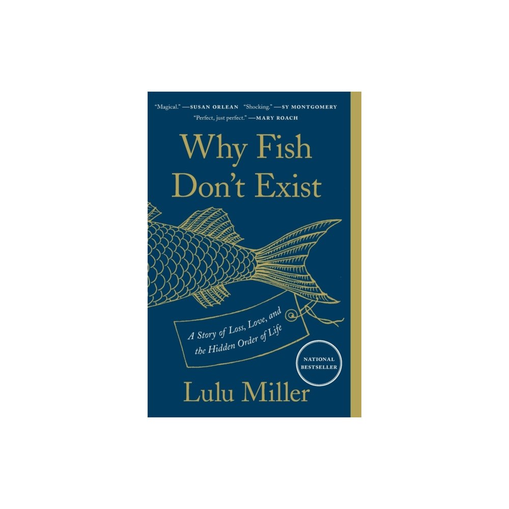 Simon & Schuster Why Fish Don't Exist (häftad, eng)
