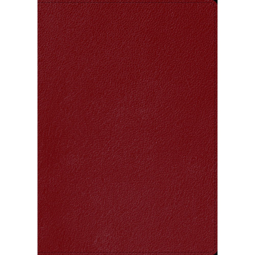 Libris förlag Skrivbok A5 PU linjerad röd (bok)